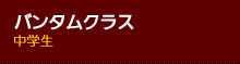 バンタムクラス（中学生）