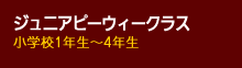 ミゼットクラス（小学校１年生～４年生）